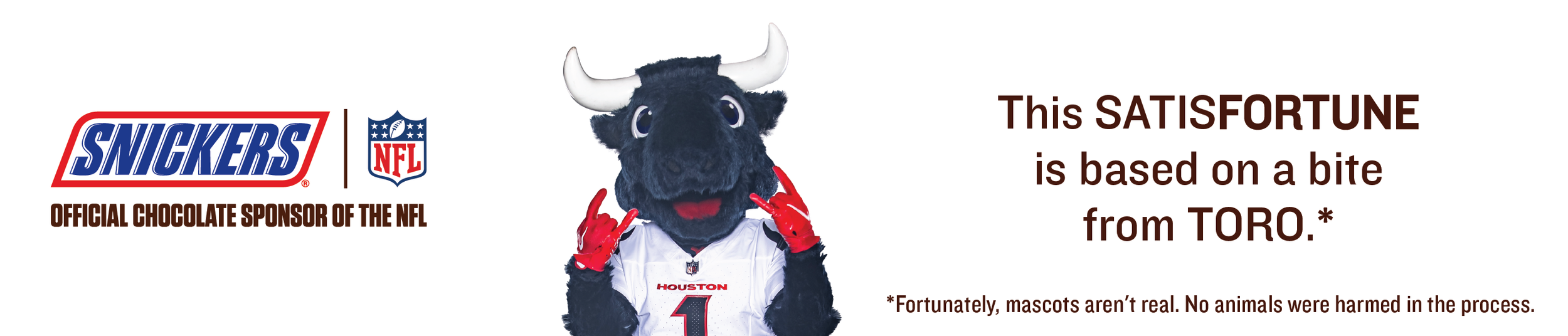 Houston Texans Back.png