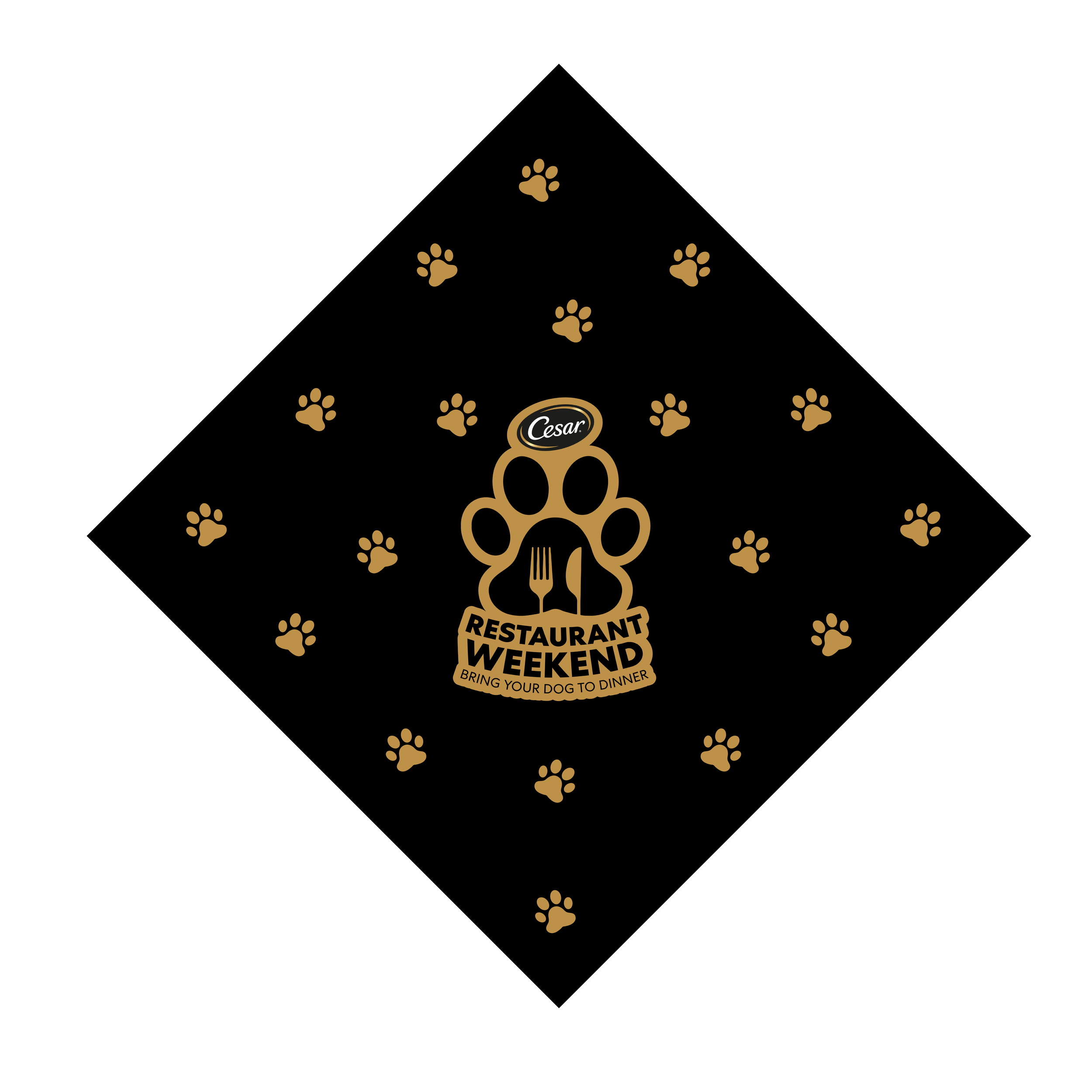 CesarRestaurantWeekendAssets_Example of usage spacing (shown on bandana design).png