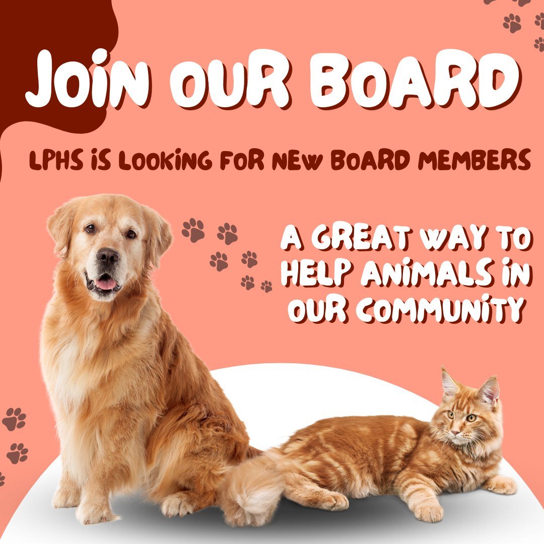 Wondering how you can help the homeless dogs and cats here at Laramie Peak Humane Society?
👍We know a great way! Serve on our board! 
Anyone can become a board member! Simply fill out the application below and email it to lphsboard@gmail.com.
Our bo