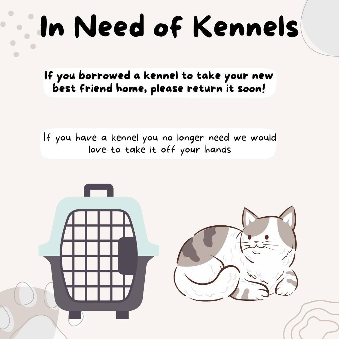 🙀We hardly have any of our carriers left! We use these daily to get our cats to the vets for their appointments!
If you took your new best friend home in one of our kennels, we would love to have that returned as soon as you can! 
Also, if you have 