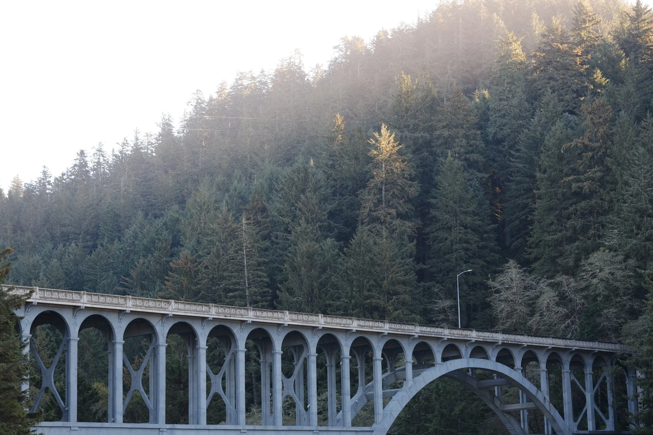 oregon-13.jpg