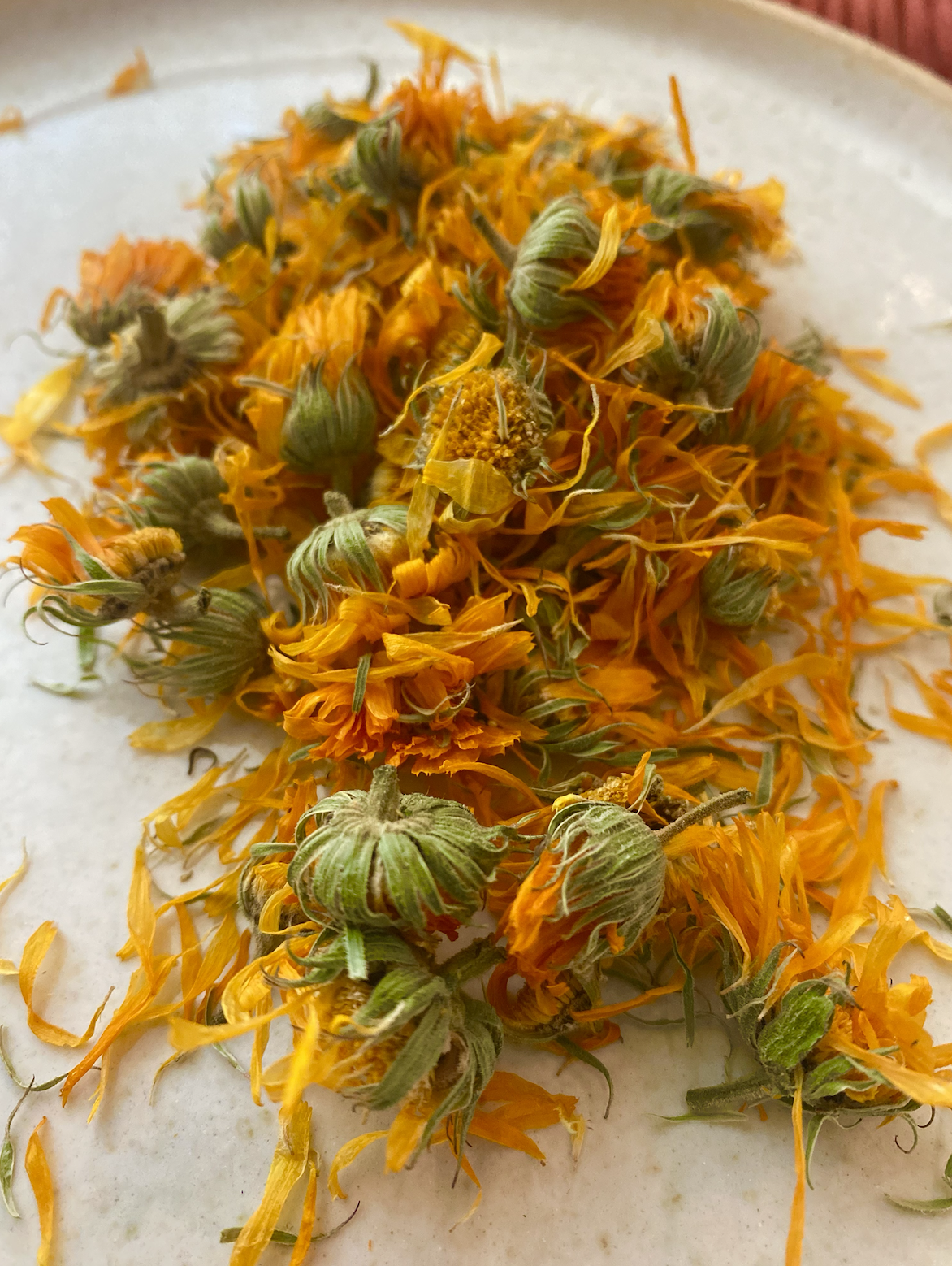 calendula