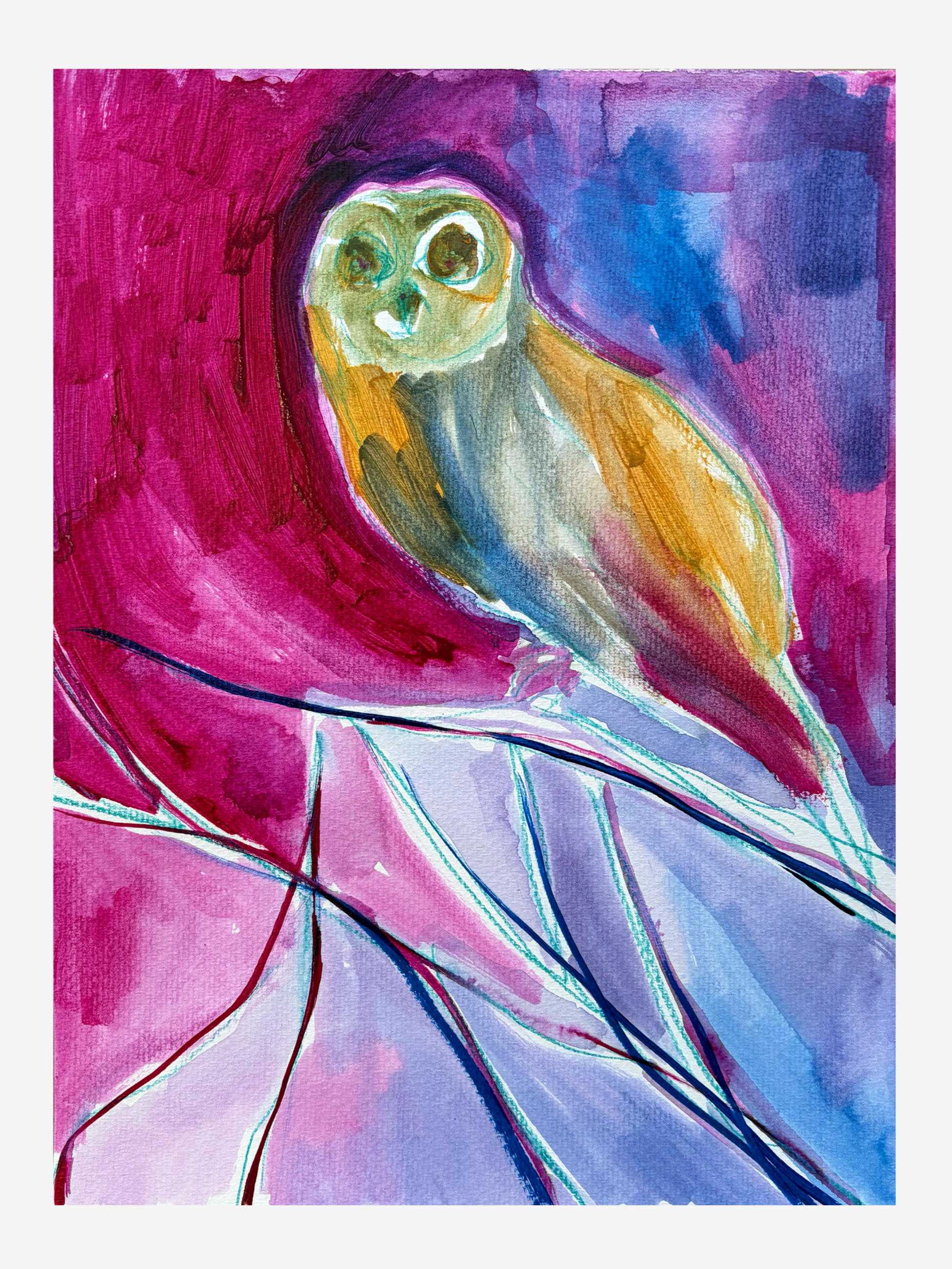 Owl 001, 9 x 12 in, 2025