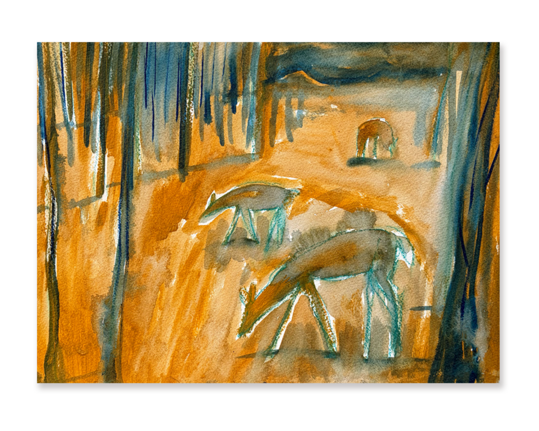 graze_square.png