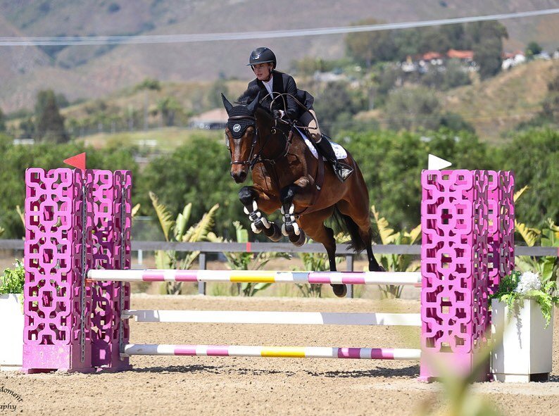 Hi Ho Silver! Lexi Silver and Designed took home two blues this week in the .90 and the 1m divisions. 🏆🏆🦭💨💨

.

.

.

.
#hiddenhillsequestrian  #kingslandequestrian #butetsaumur #valenciasaddlery #cavalor_horsenutrition