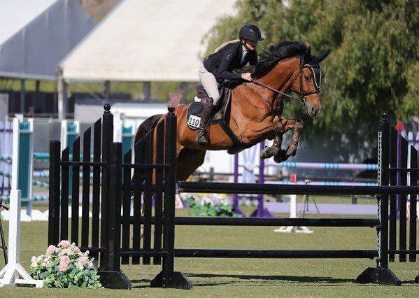 Kristina Zubac and Super 7 are picture perfect 📸

.

.

.

.
#hiddenhillsequestrian  #kingslandequestrian #butetsaumur #valenciasaddlery #cavalor_horsenutrition