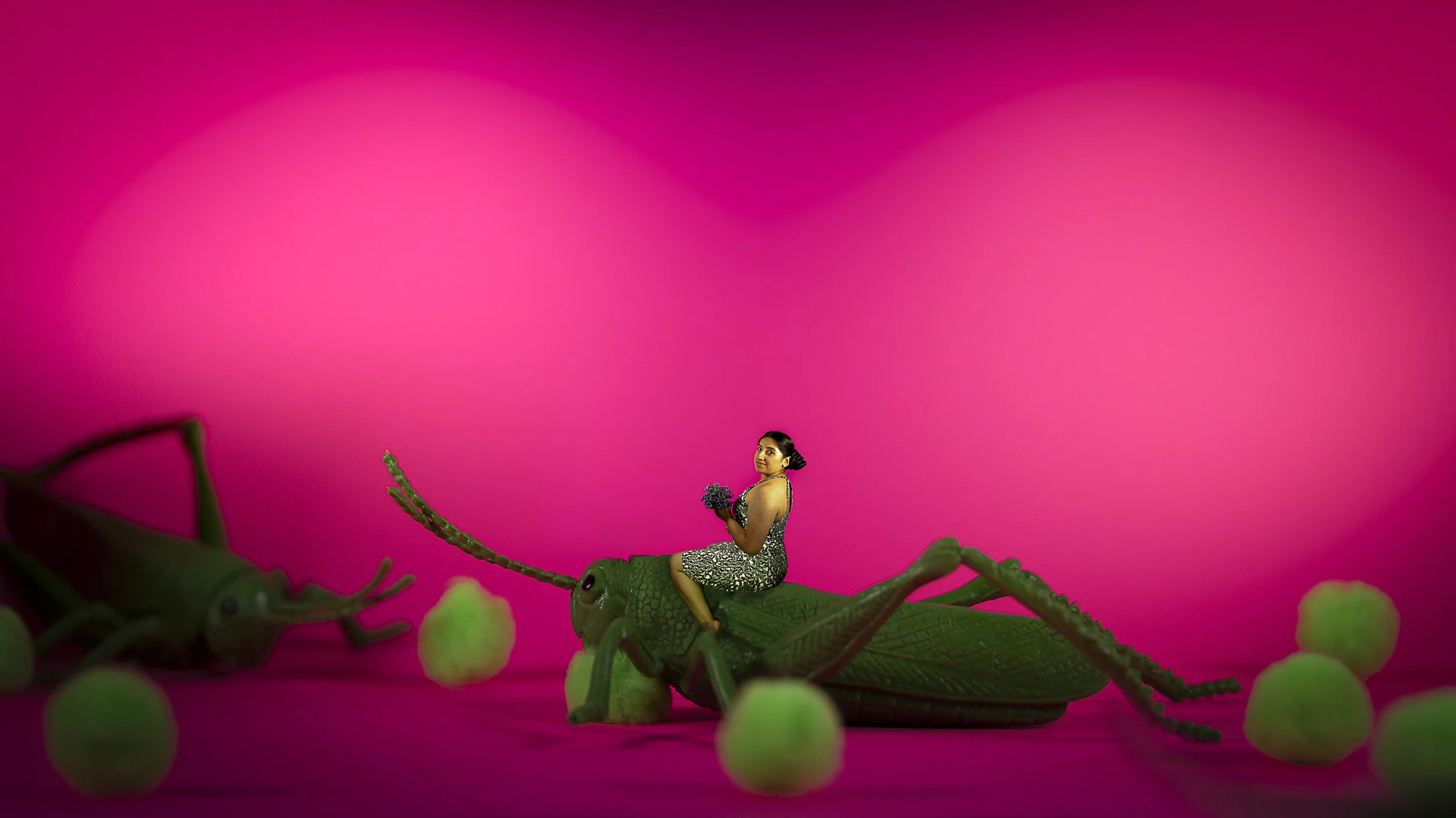  Grasshoppers Play No 11, 2019  Excerpt from  Indulgence   4.5 x 8 inches  Archival inkjet print    