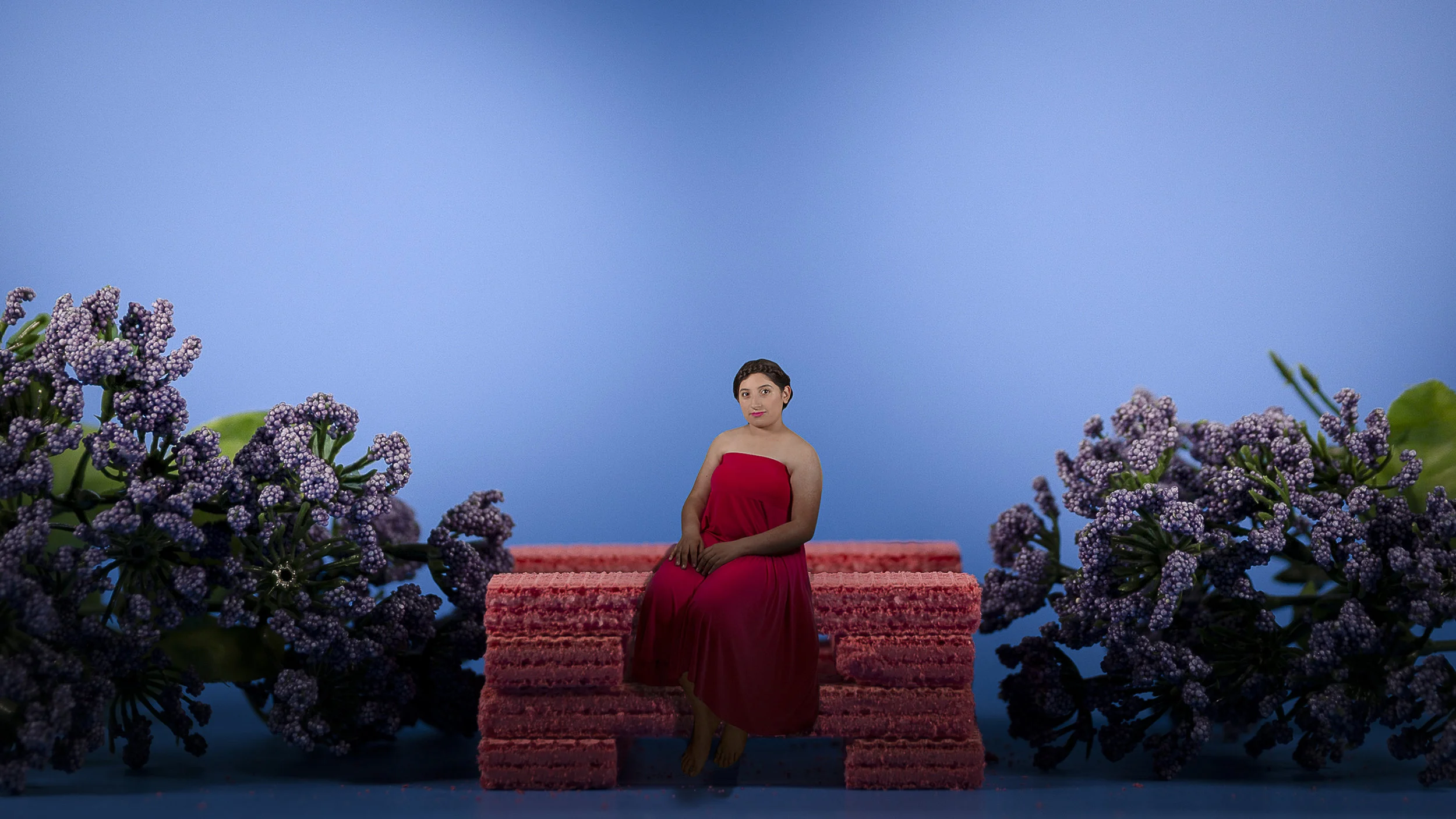  Mona Wafer No 12, 2019  Excerpt from  Indulgence   4.5 x 8 inches  Archival inkjet print    