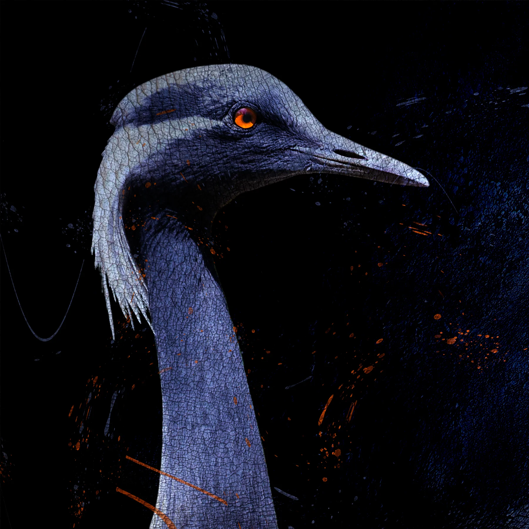  Blue Bird No 14, 2019  Excerpt from  Tough Skin   16 x 16 inches  Archival inkjet print    