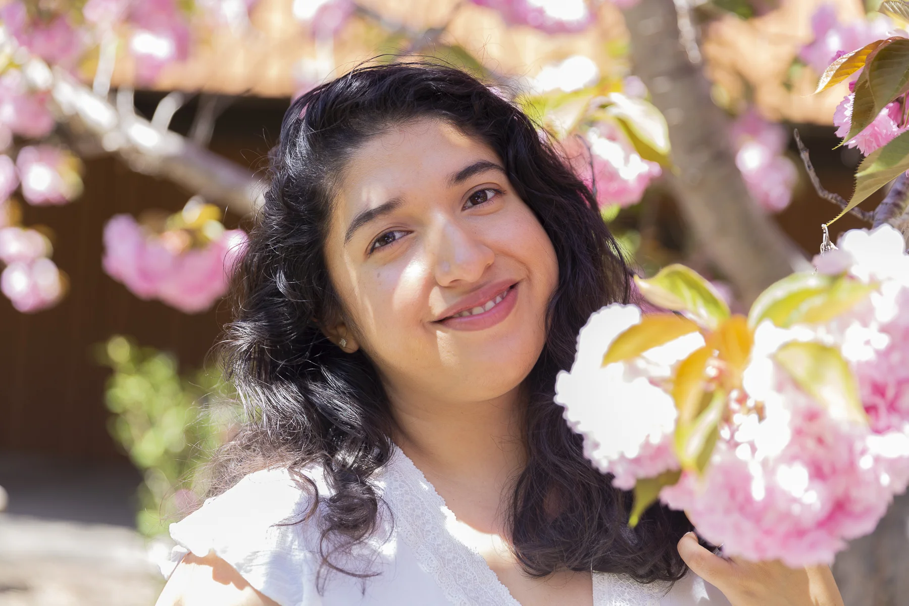 My Artistic Endeavors