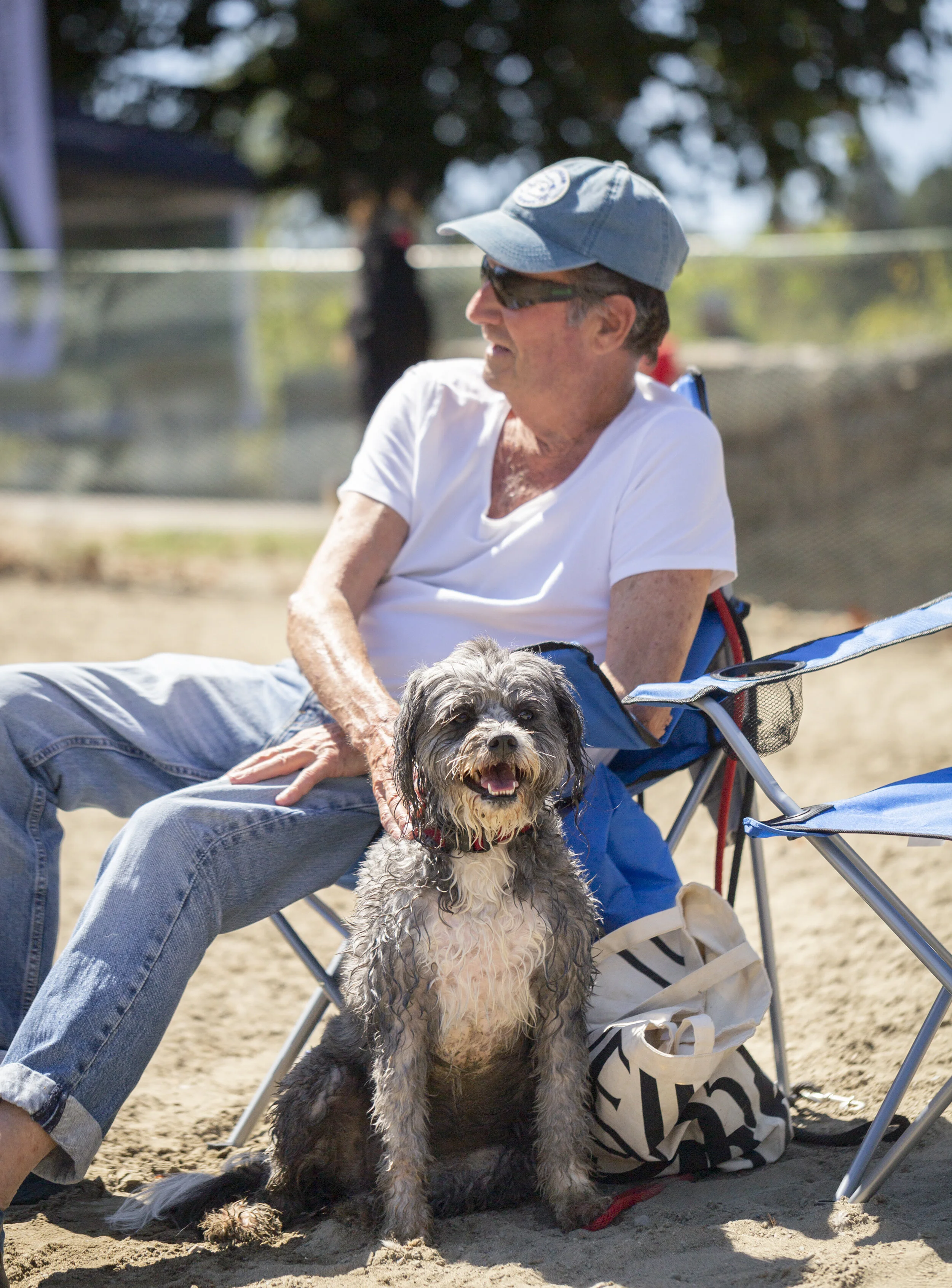 A man wearing sunglasses, a white t-shirt, and a baseball cap sitting in a blue foldable chair outdoors on sandy ground next to a wet gray and white dog. The man is smiling and the dog appears happy, sitting and looking at the camera.