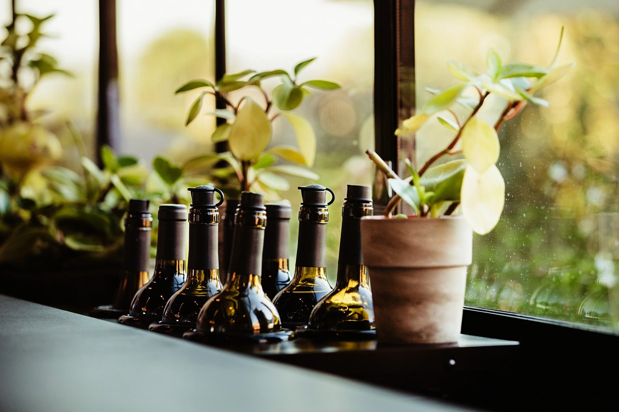 Sipping on sunshine and indulging in the symphony of flavors at Turnbull Winery. 🍷
~~~
Disfrute del sol y del&eacute;itese con la sinfon&iacute;a de sabores en Turnbull Winery. 🍷

#SunsetSips #winemoments #winecountryphotographer 
Turnbull Winery