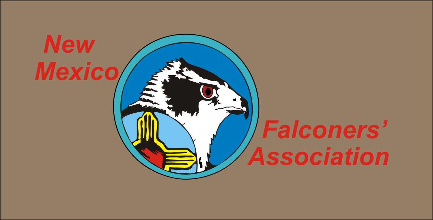 New Mexico Falconry