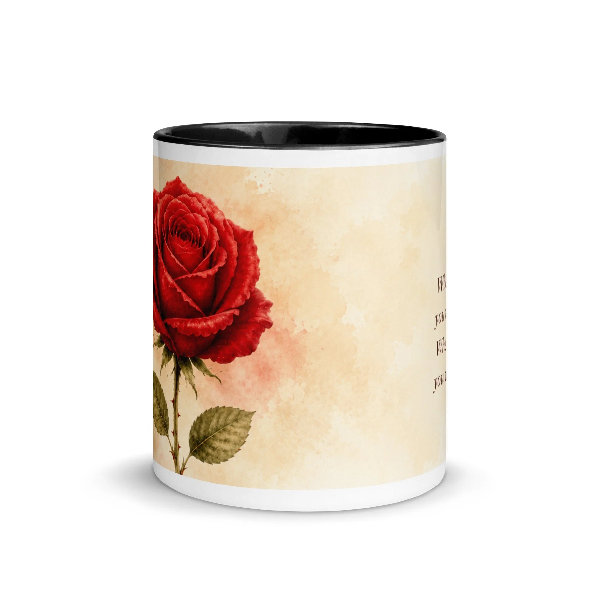 white-ceramic-mug-with-color-inside-black-11-oz-front-6a81591058cd2.jpg