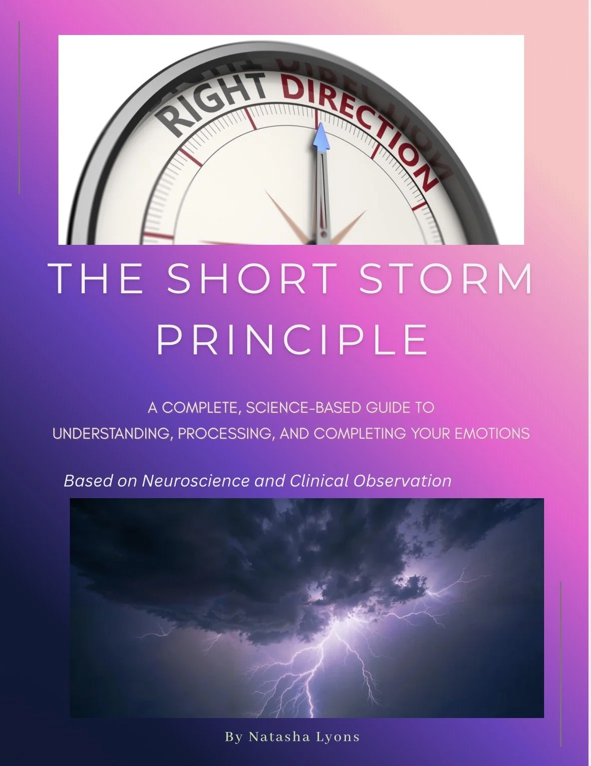 Book cover titled 'The Short Storm Principle' with a compass pointing north and a image of a lightning storm.