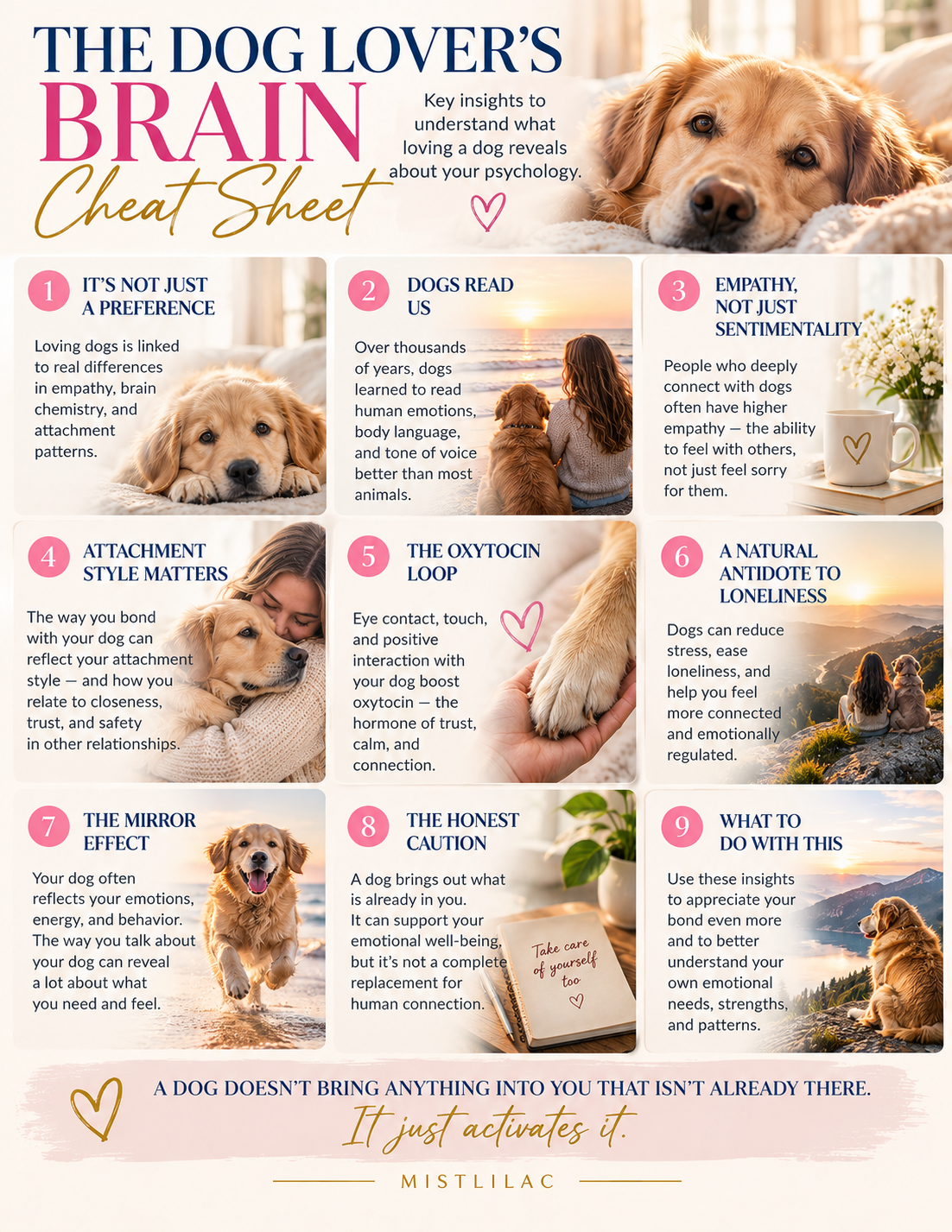 The Dog Lover’s Brain Cheat Sheet.png