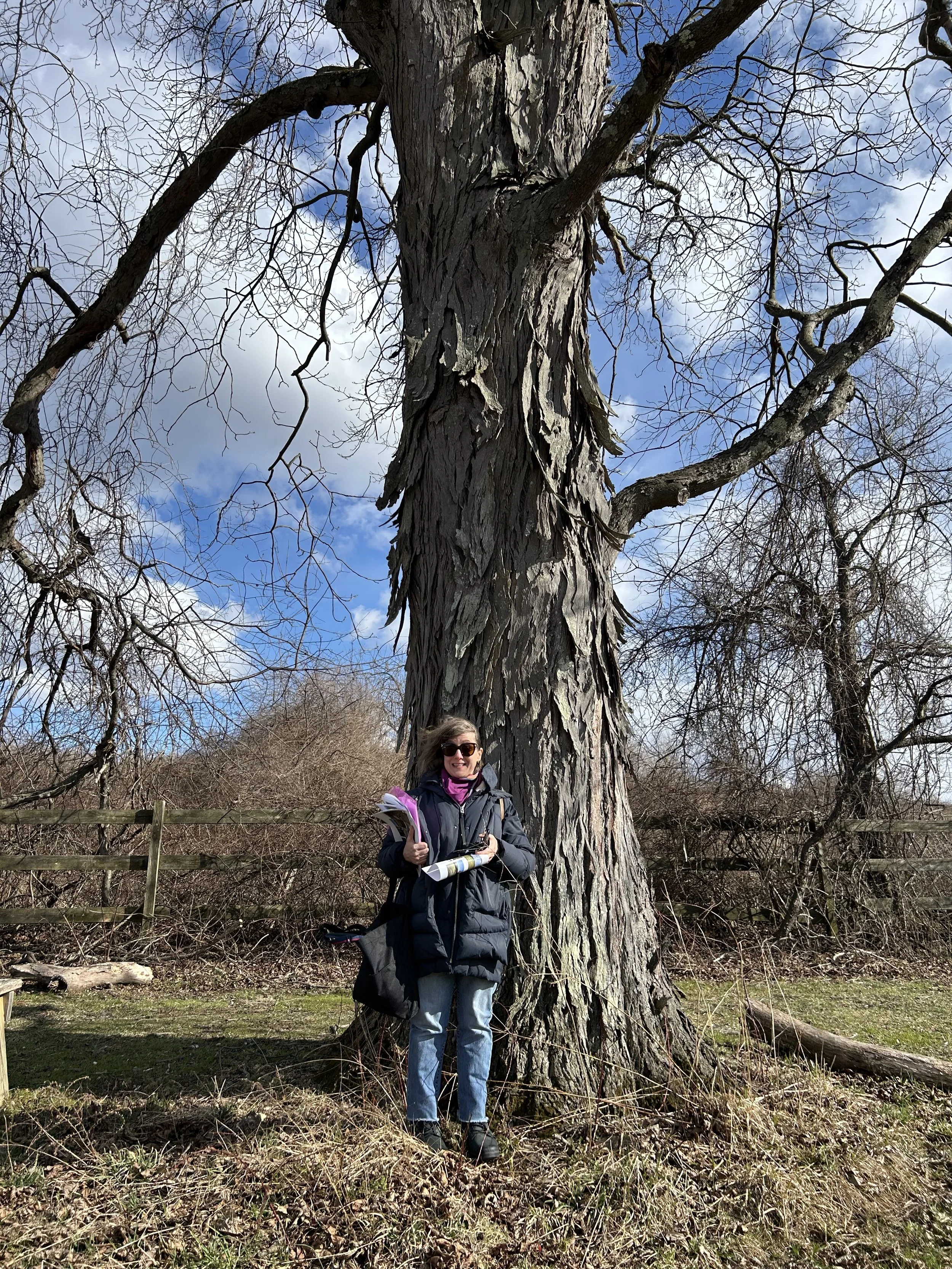 Woman standing outdoors at the base of a large, leafless tree, holding papers and a clipboard, with a wooden fence in the background and partly cloudy sky.