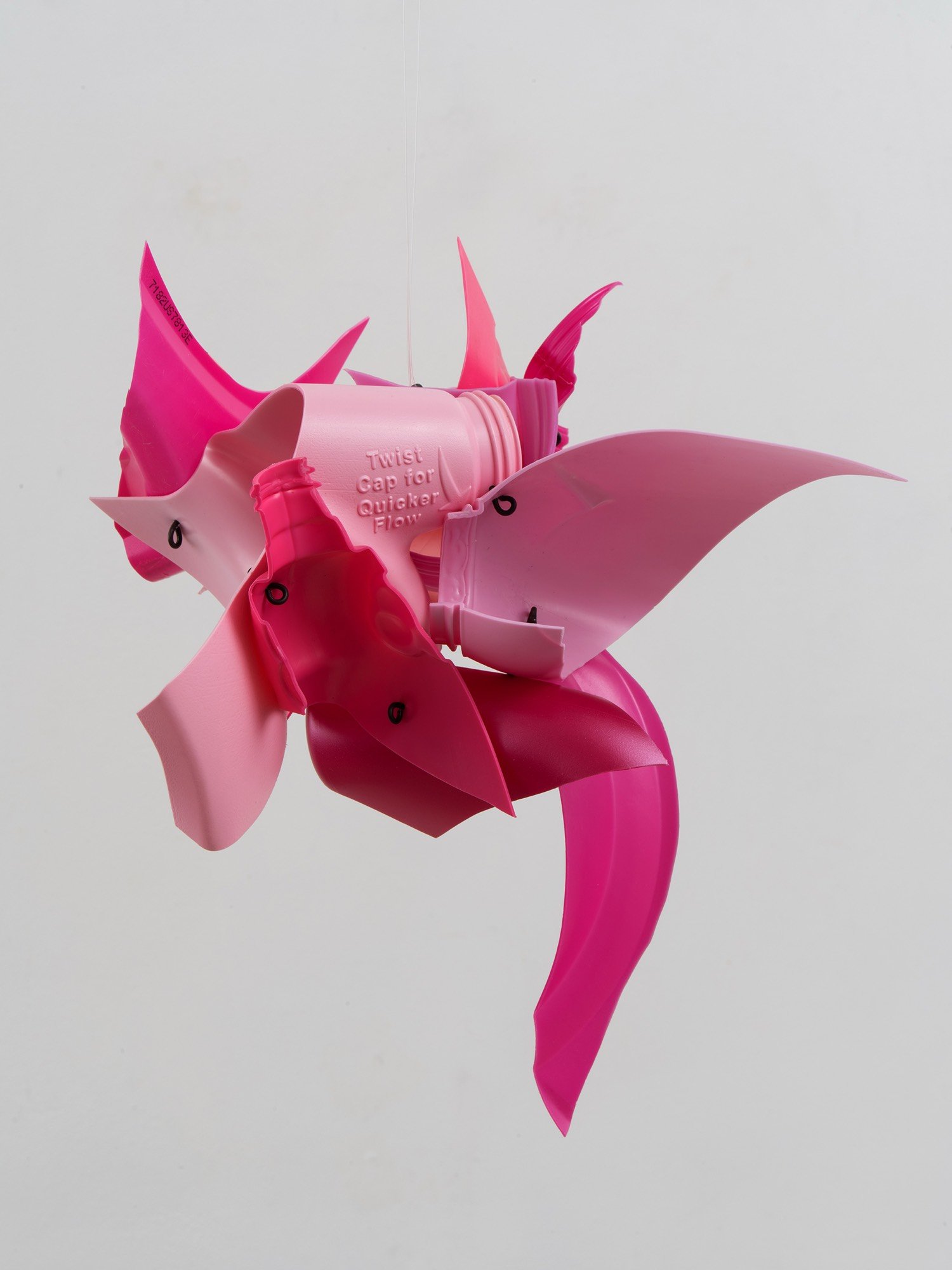 Pinking-2.jpg