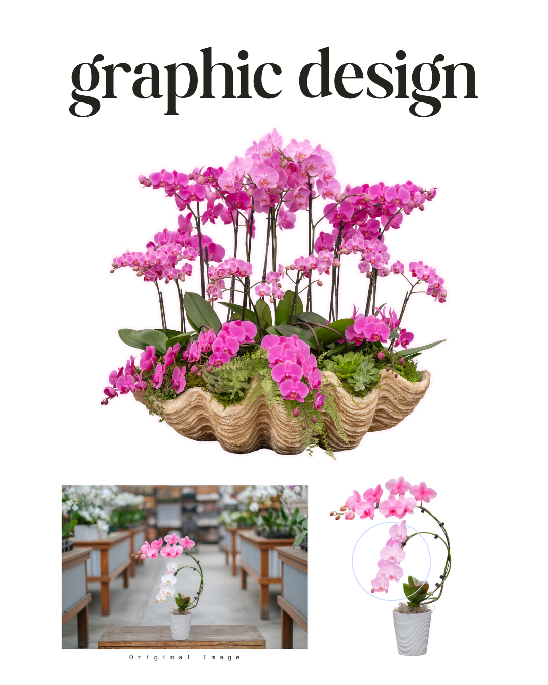 Graphic Design & Marketing