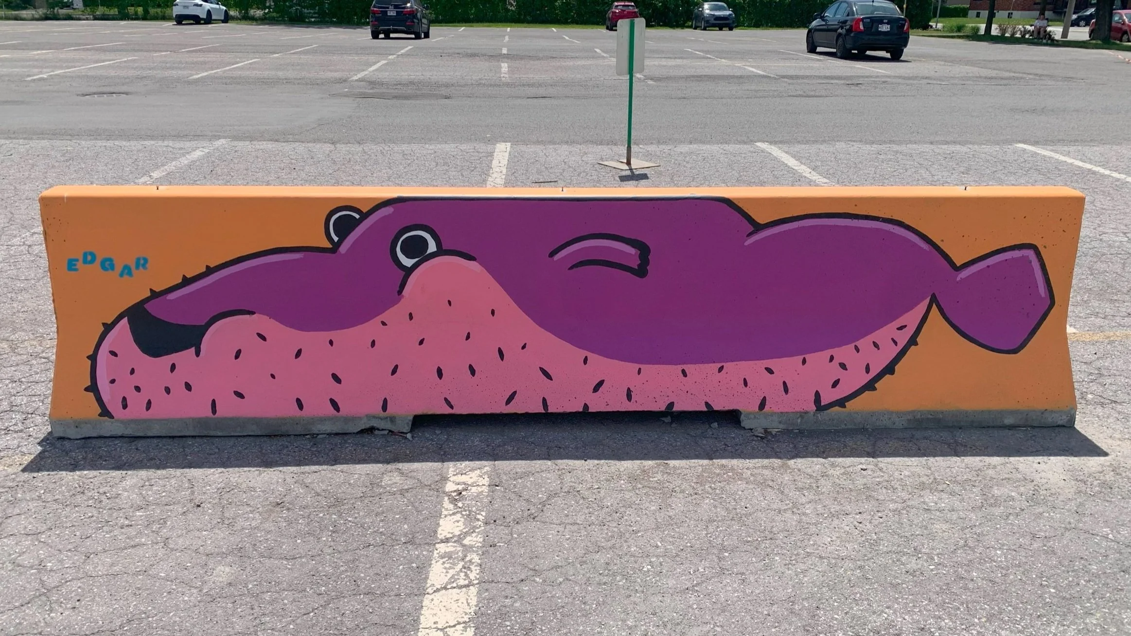 jersey avec une murale exterieur peint une fresque exterieur peint par un muraliste edgar artiste, poissons