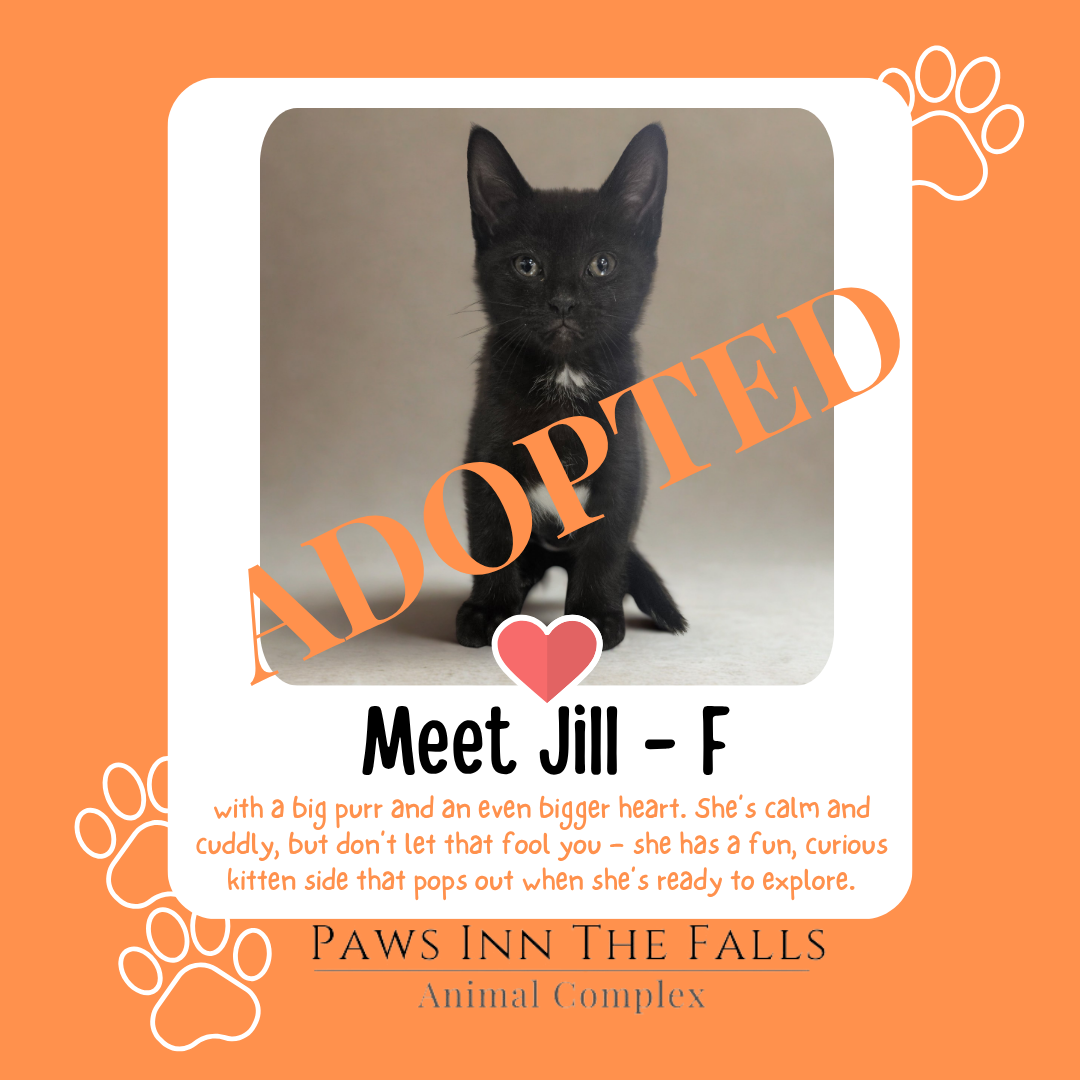 Jill Adopted.png