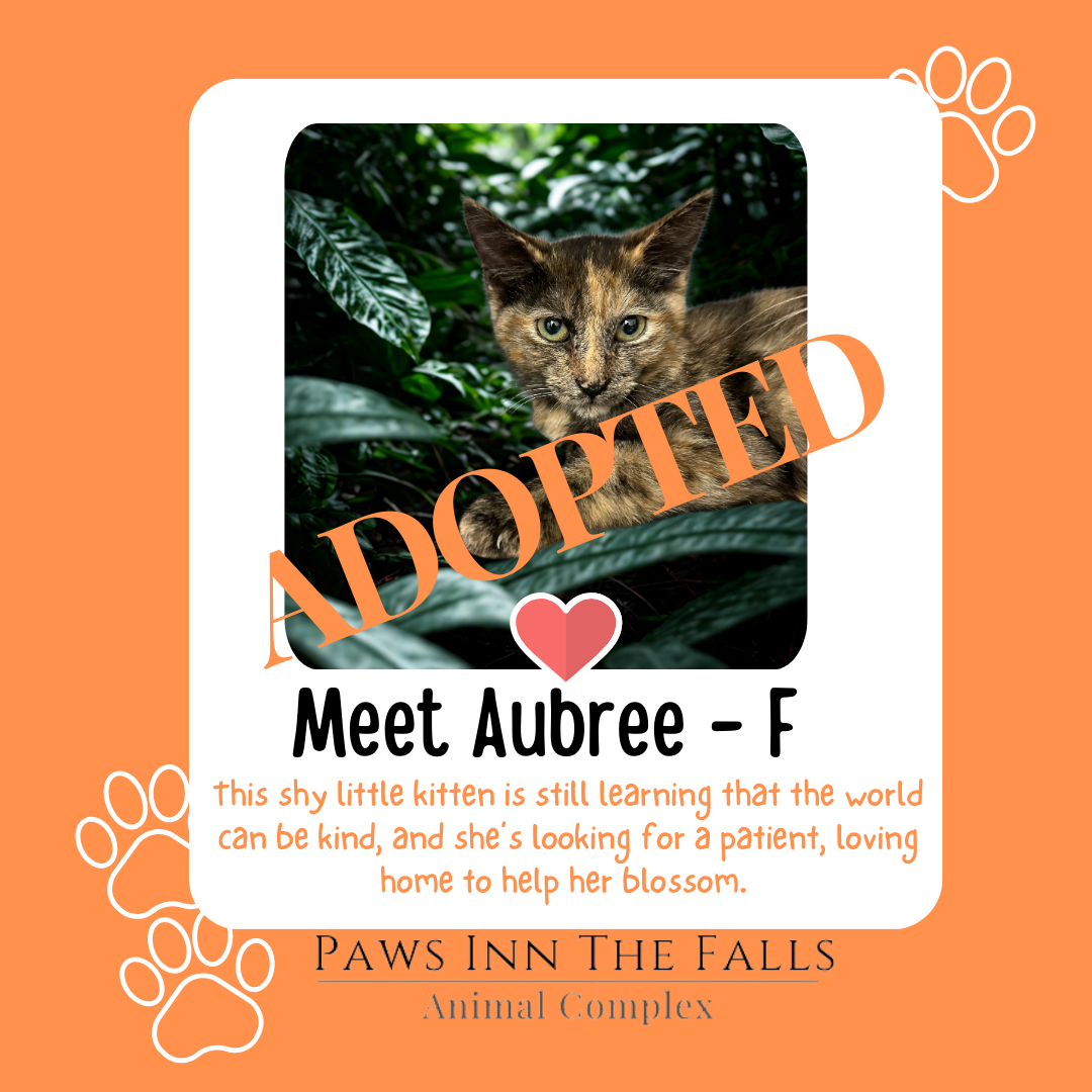 Aubree adopted.png
