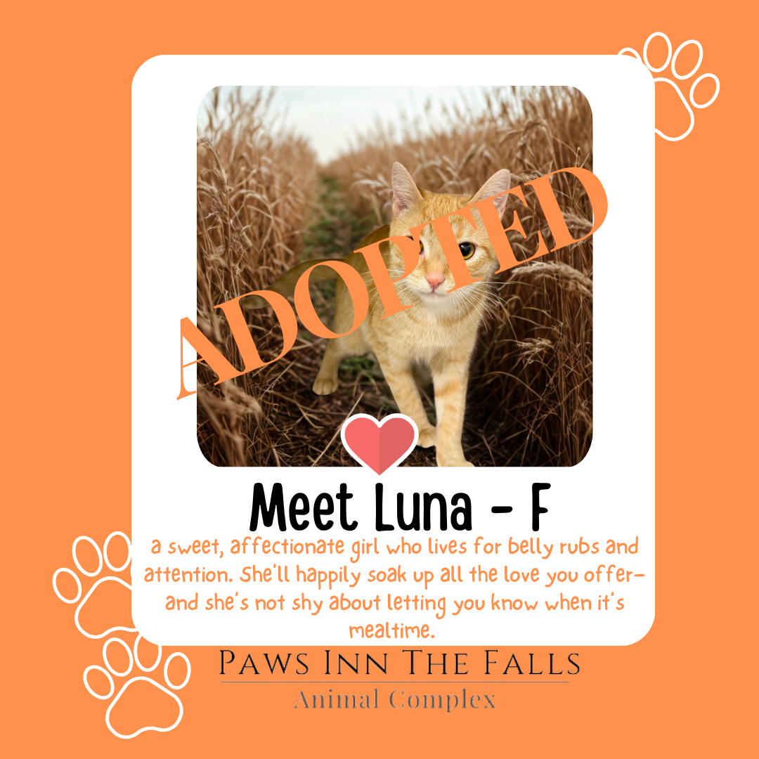 Luna adopted.png