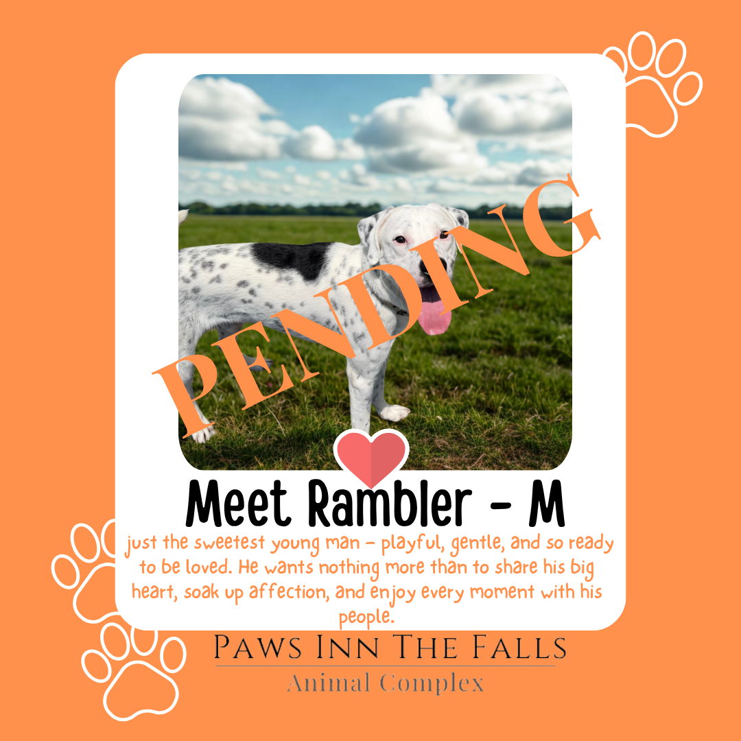 Rambler pending.png