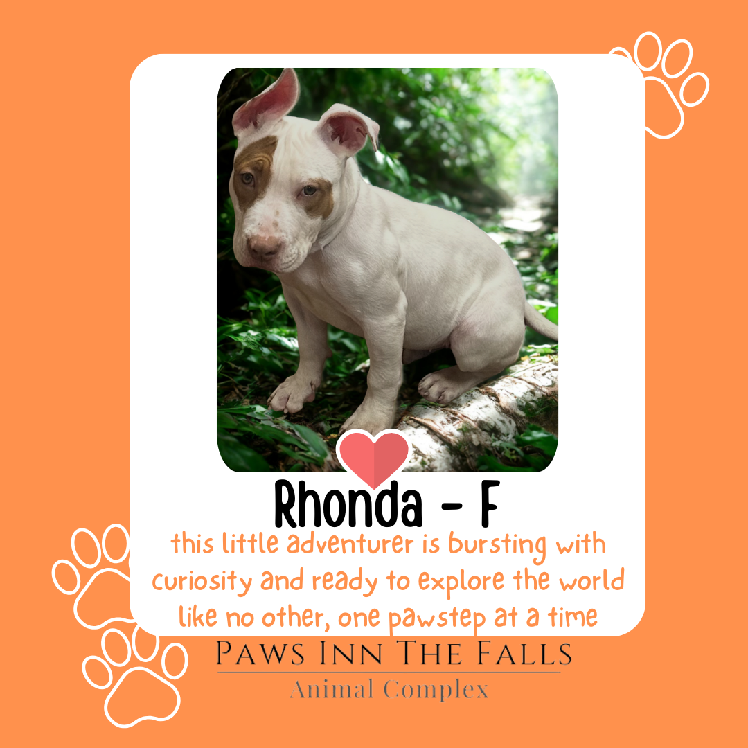 Rhonda web.png