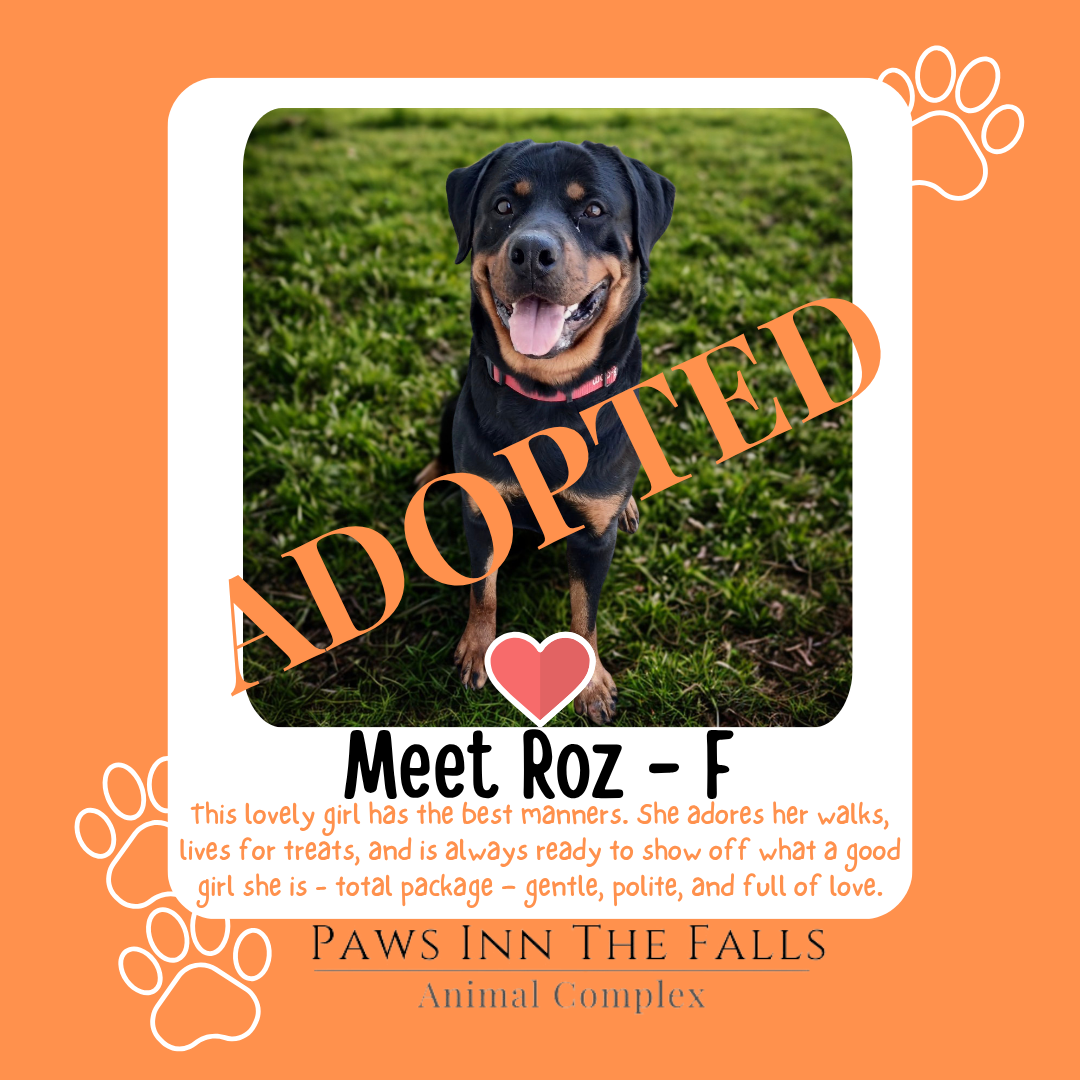 Roz Adopted.png