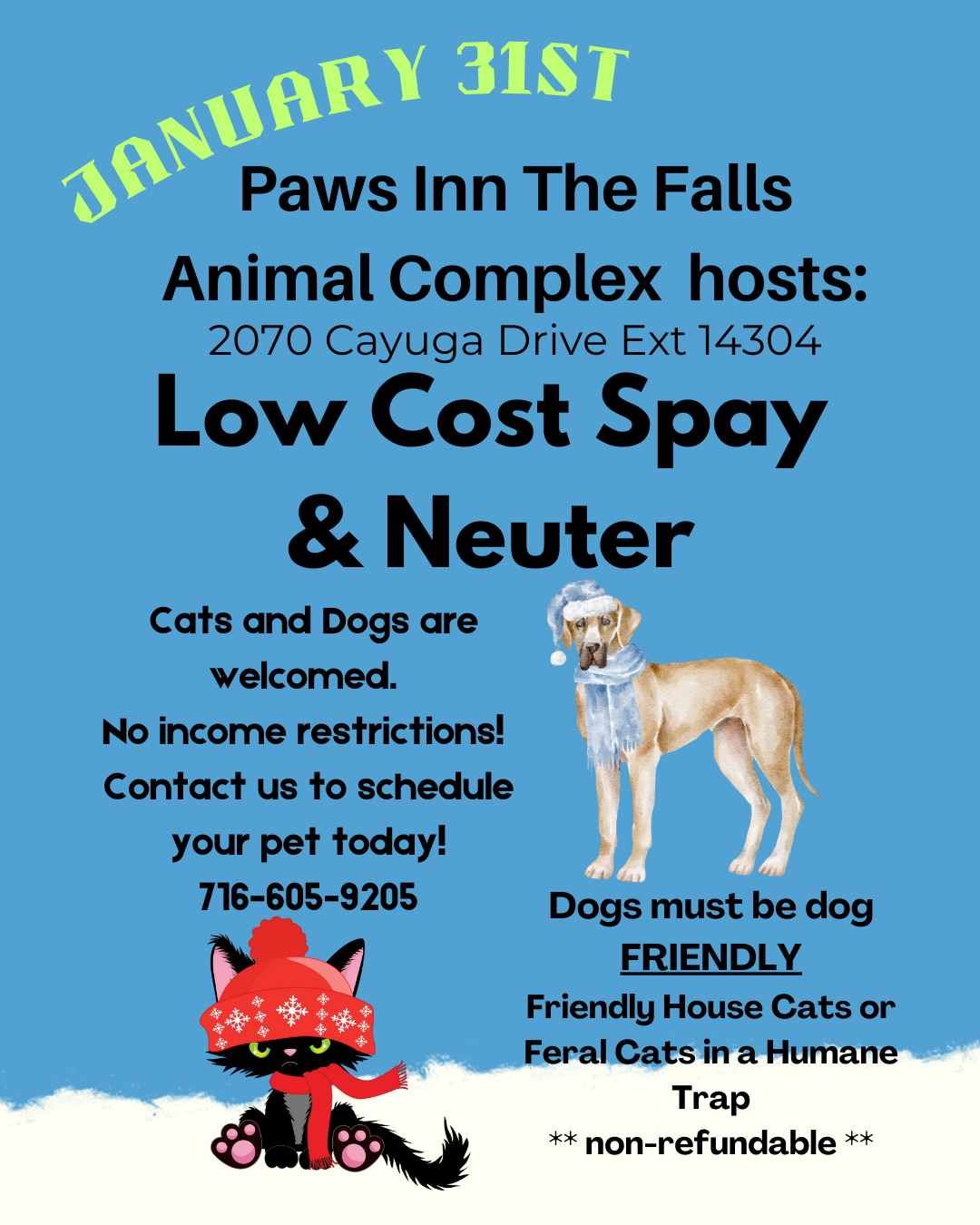 Low Cost Spay and Neuter Clinic