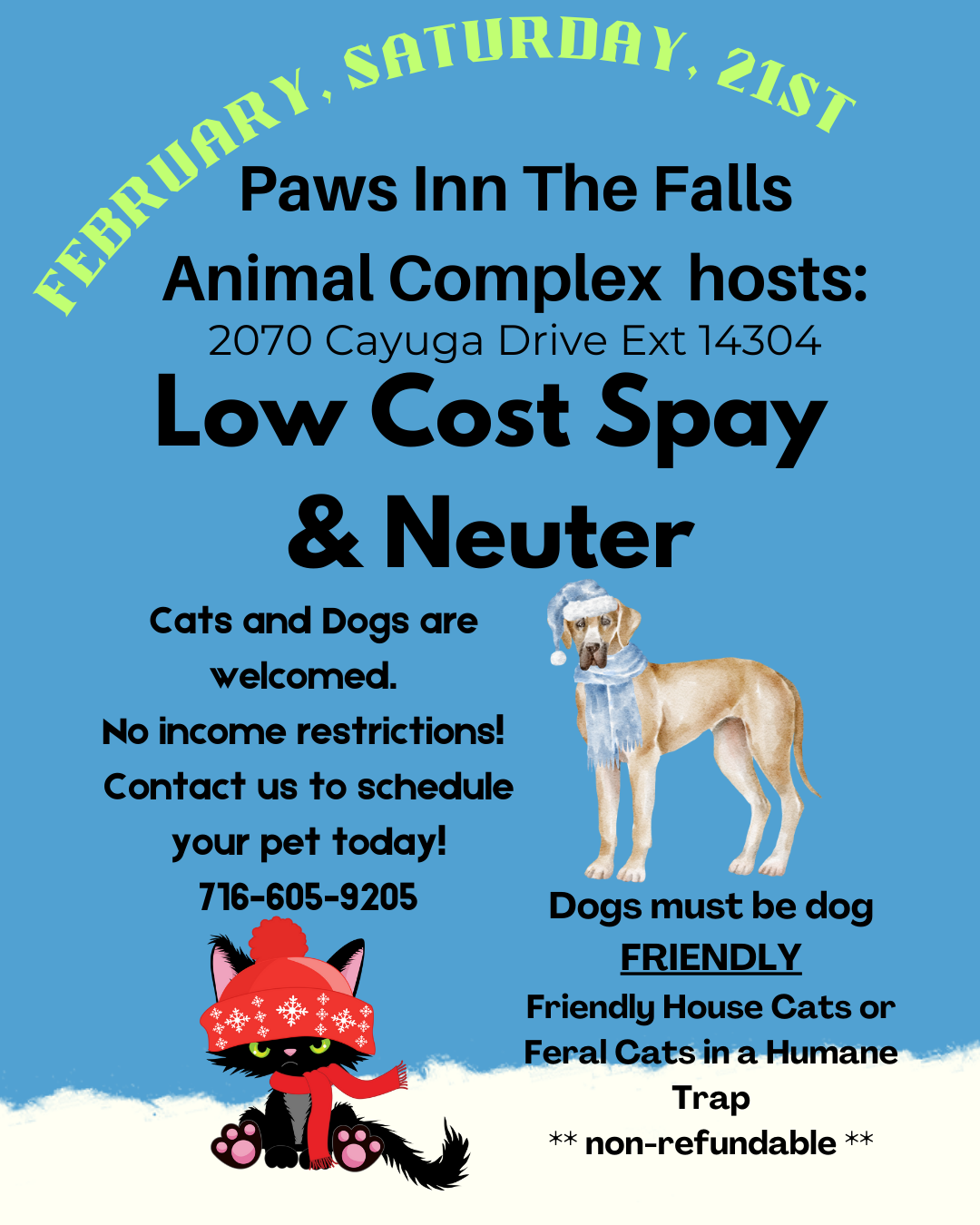 Low Cost Spay/Neuter Clinic
