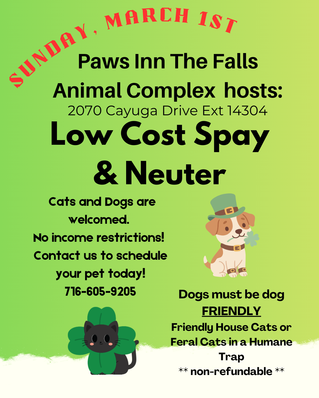 Low Cost Spay and Neuter Clinic