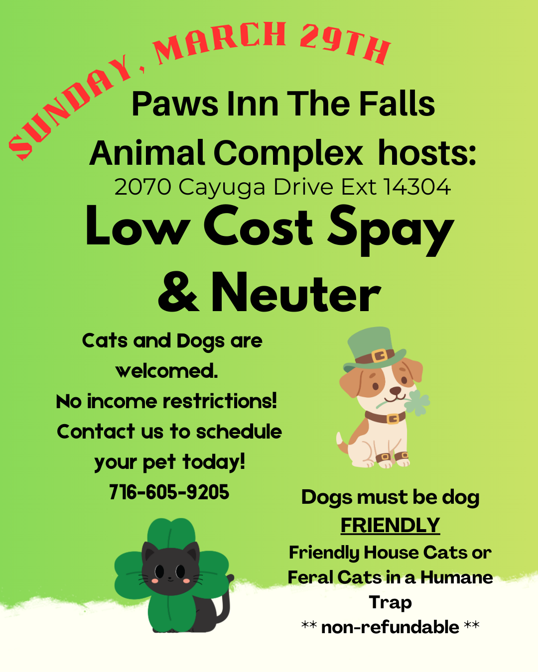 Low Cost Spay and Neuter Clinic
