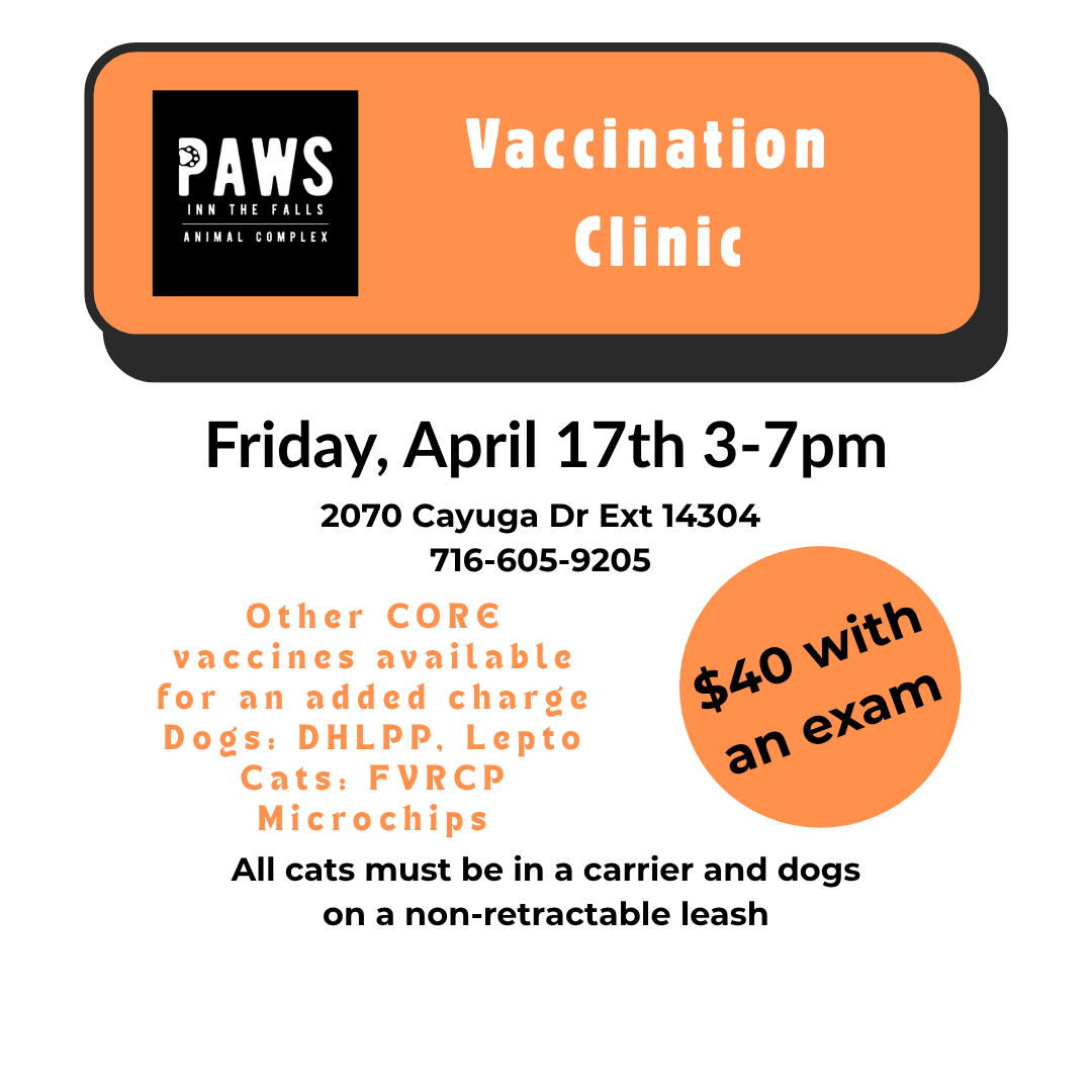 Vaccine Clinic