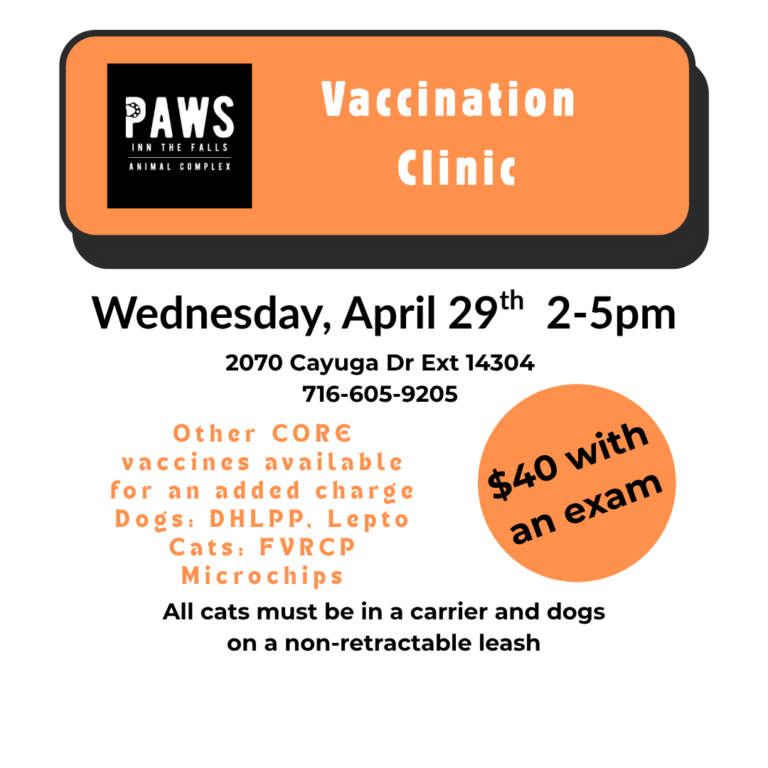 Vaccine Clinic