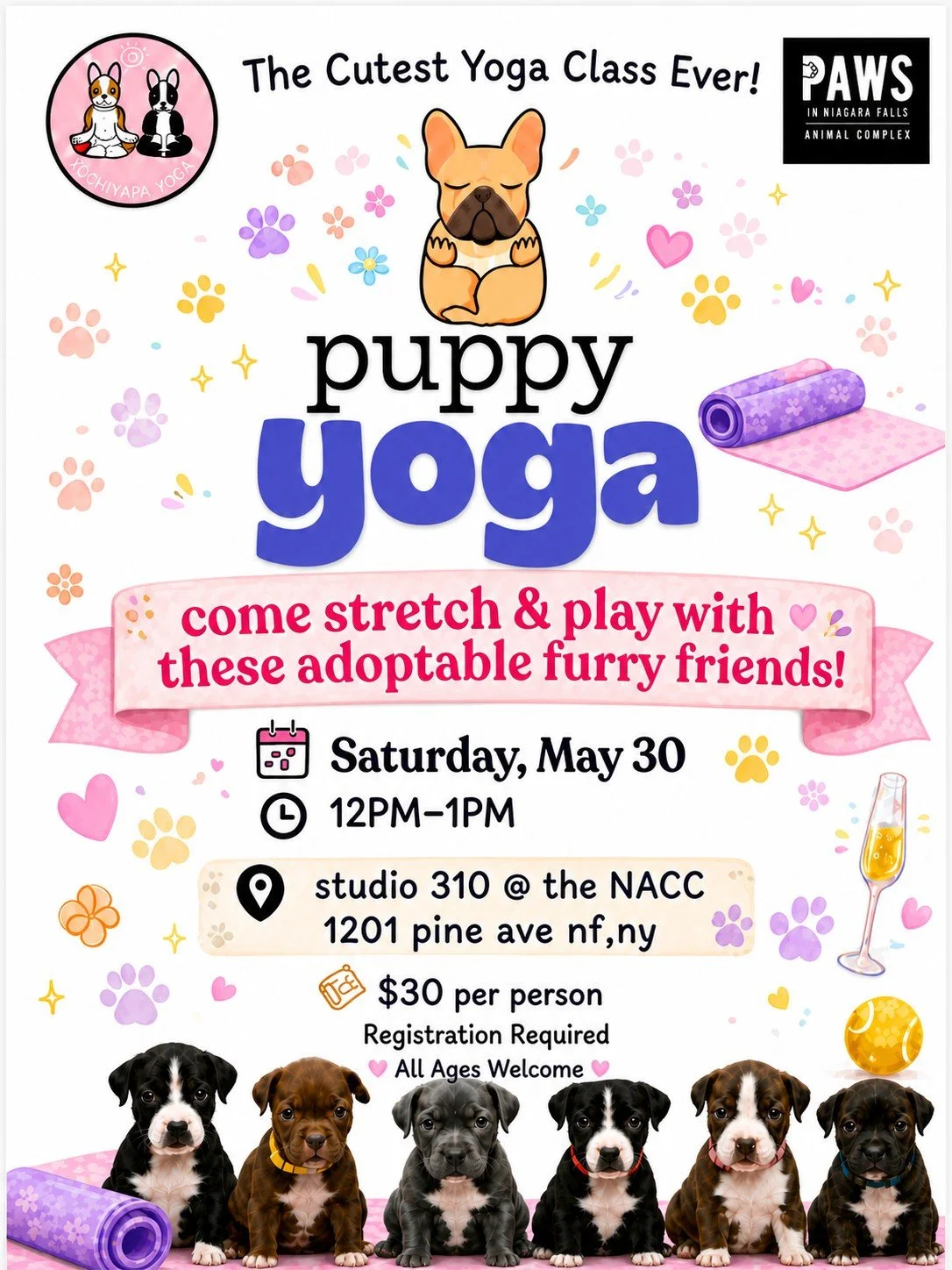 Puppy Yoga