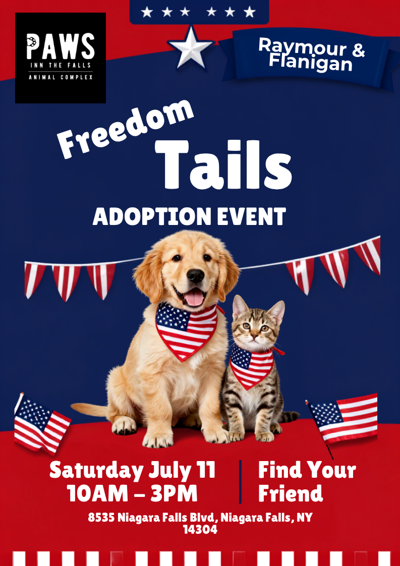 Freedom Tails Adoption Event