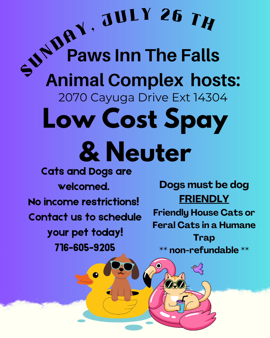 Low Cost Spay & Neuter Clinic