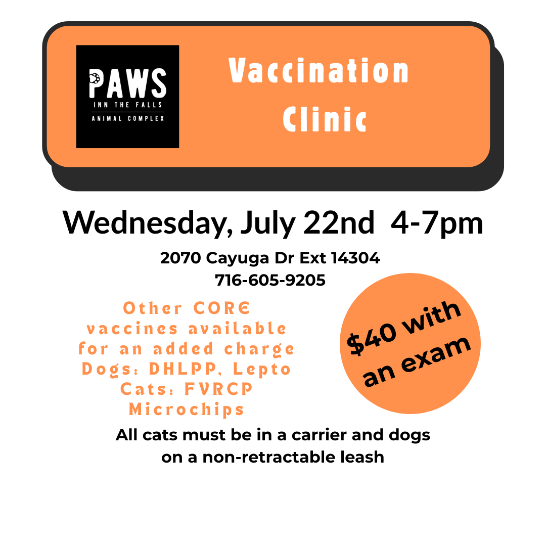 Low Cost Vaccine Clinic