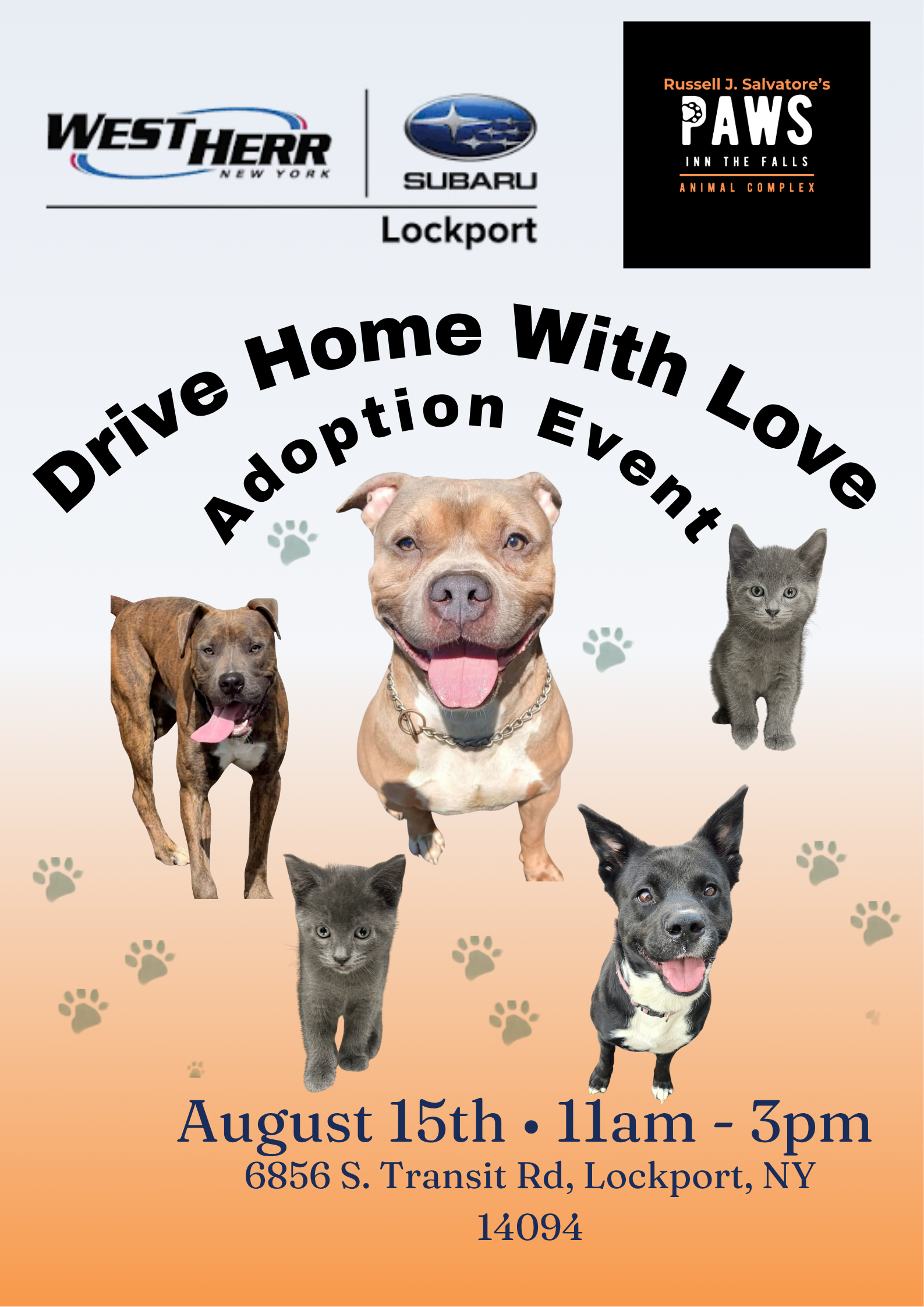 Drive Home With Love Adoption Event