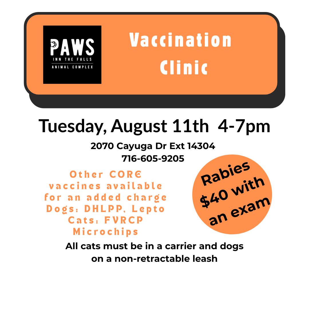 Low Cost Vaccine Clinic