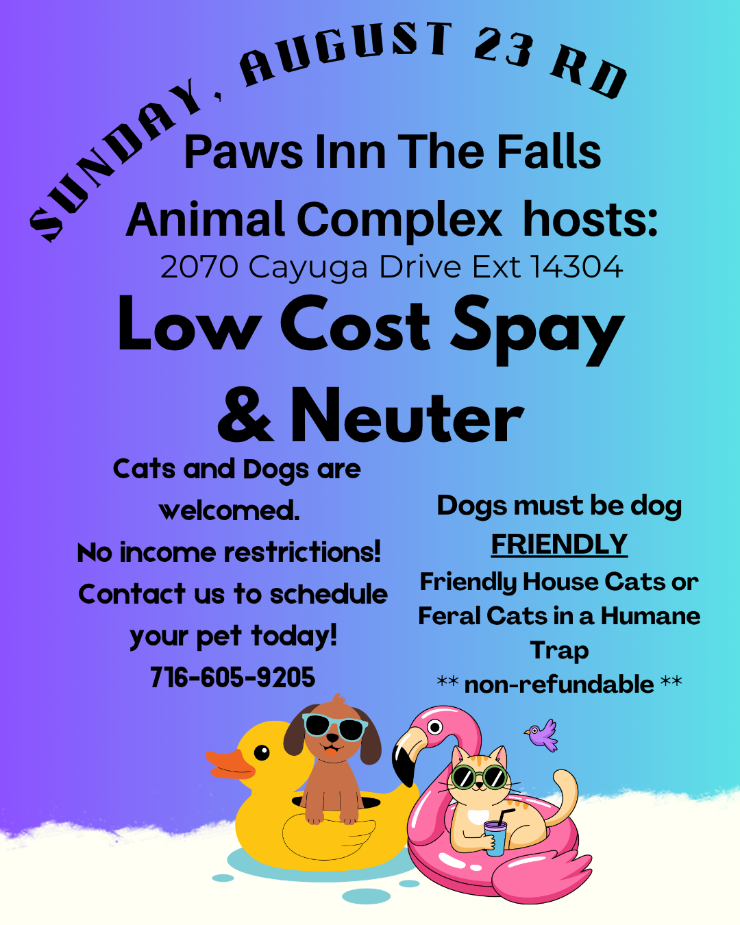 Low Cost Spay and Neuter Clinic