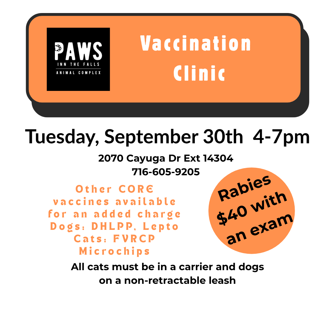 Vaccine Clinic