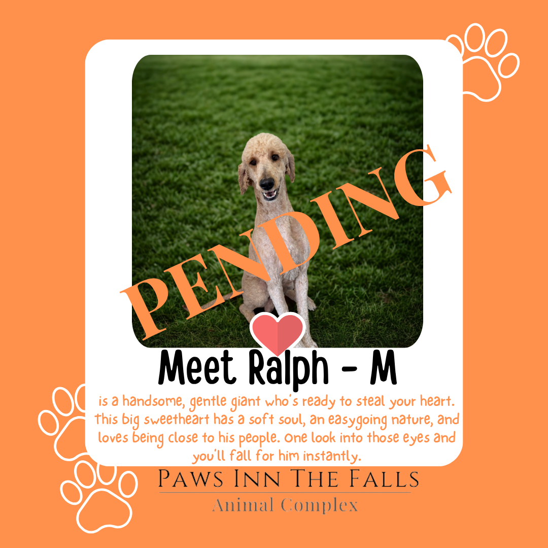 Ralph pending.png