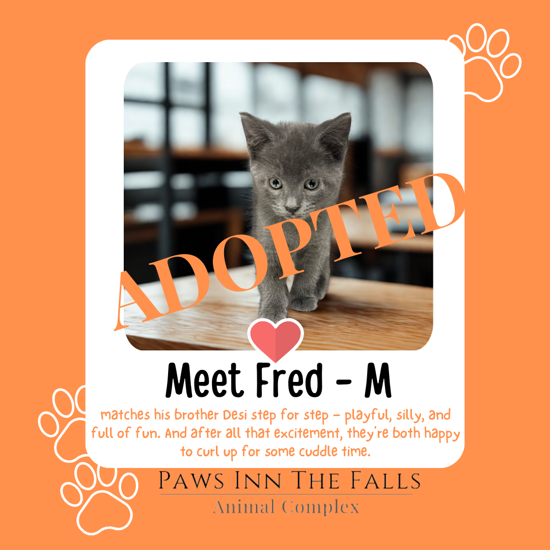 fred adopted.png