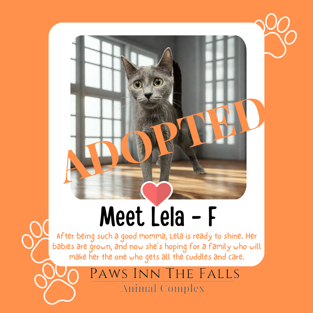 Lela adopted.png