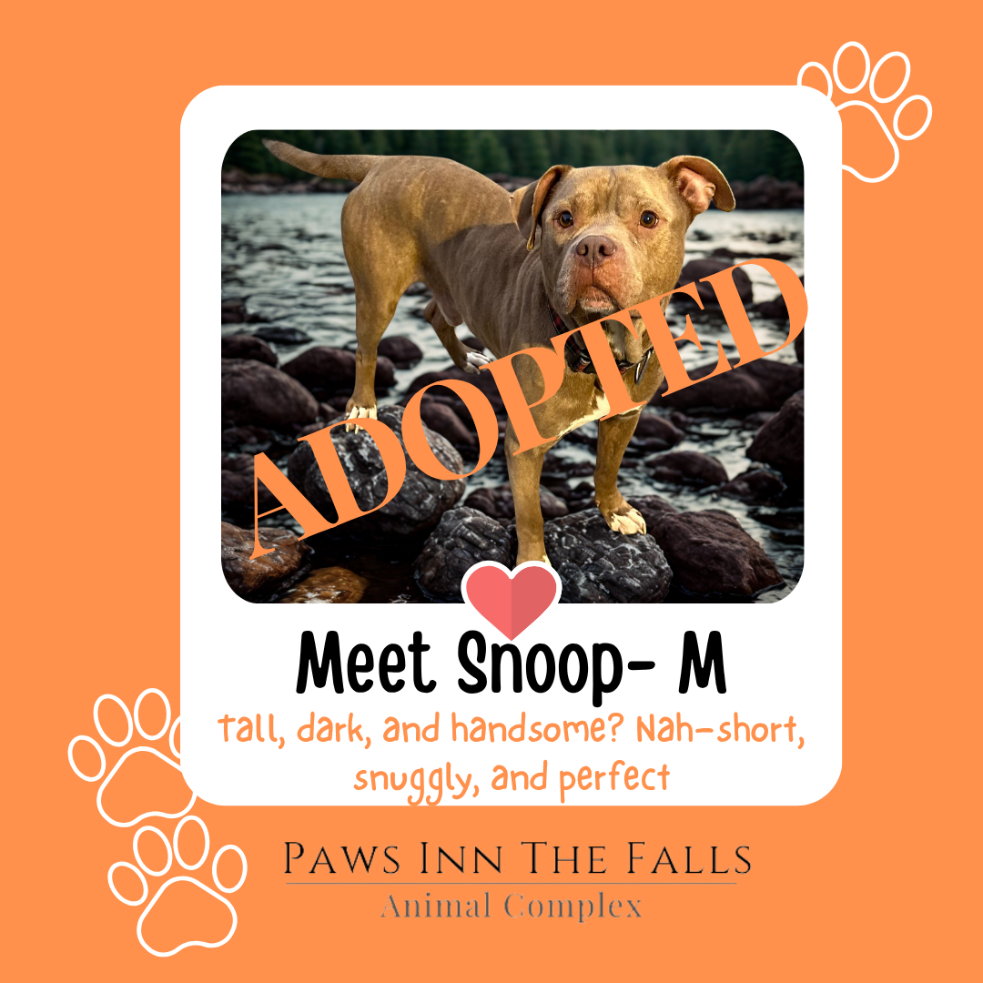 snoop adopted.png