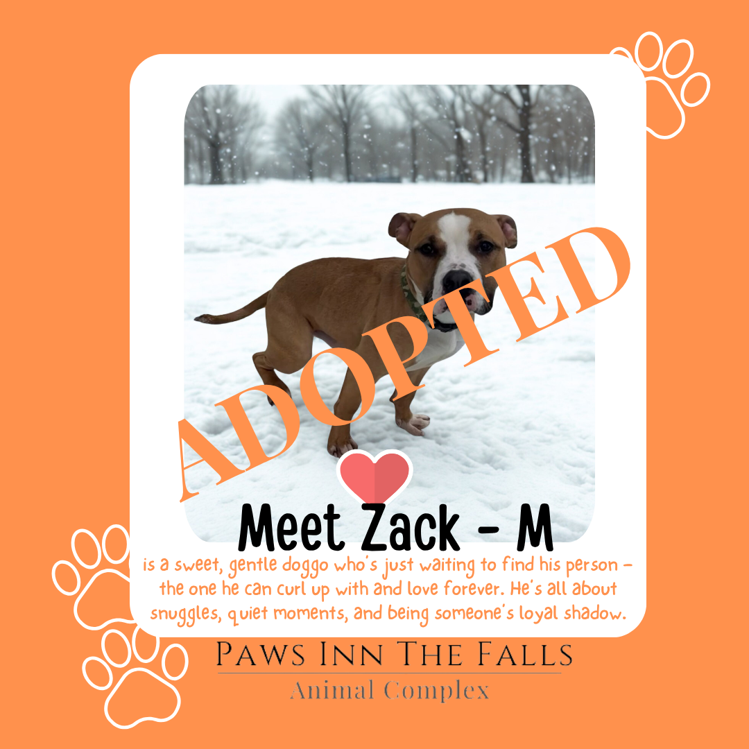 zack adopted.png
