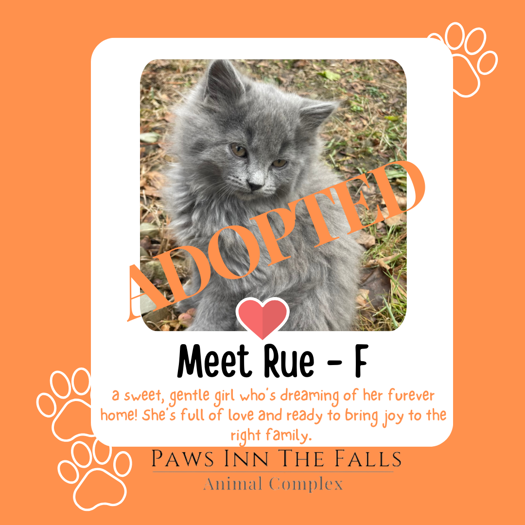 Rue adopted.png